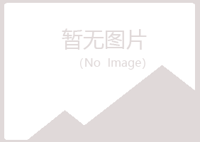 齐河县夏岚服务有限公司